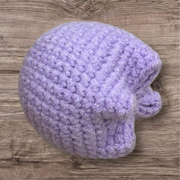 Purple Tulip