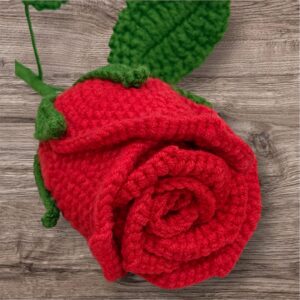 Elegant Red Rose