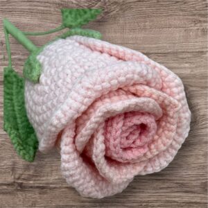 Elegant Pink Rose