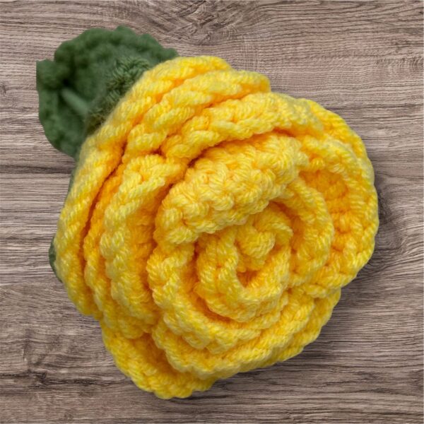 Yellow Rose
