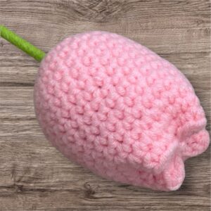 Pink Tulip