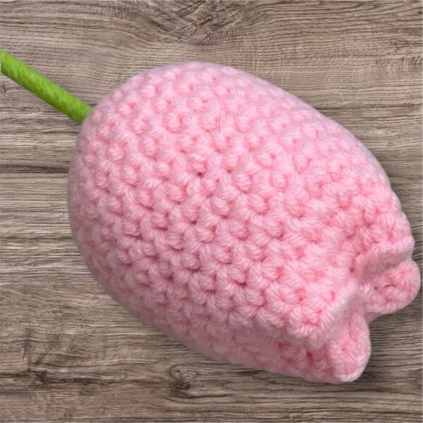 Pink Tulip