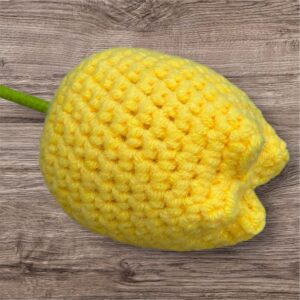 Yellow tulip