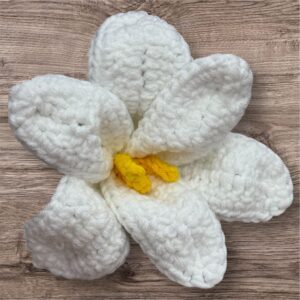 White Lilly