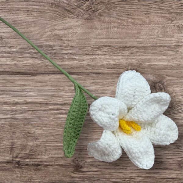 White Lilly - Image 2