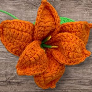 Orange Lilly