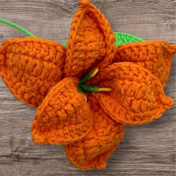 Orange Lilly