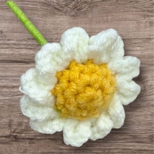 White Daisy