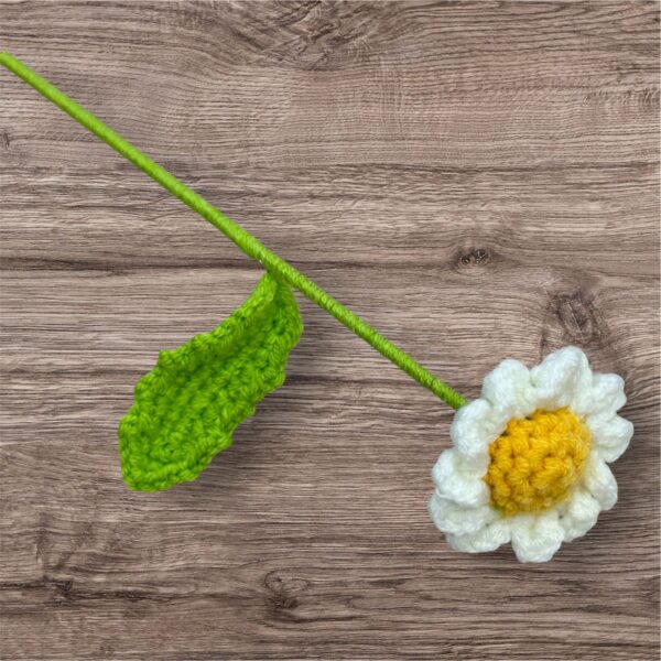 White Daisy - Image 2