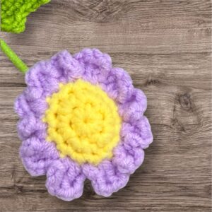 Purple Daisy