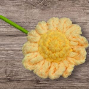 Yellow Daisy