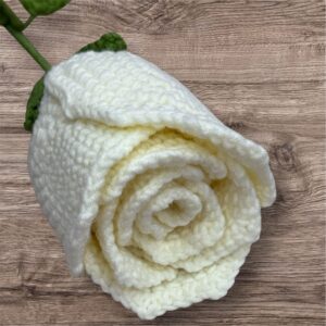 Large White Rose