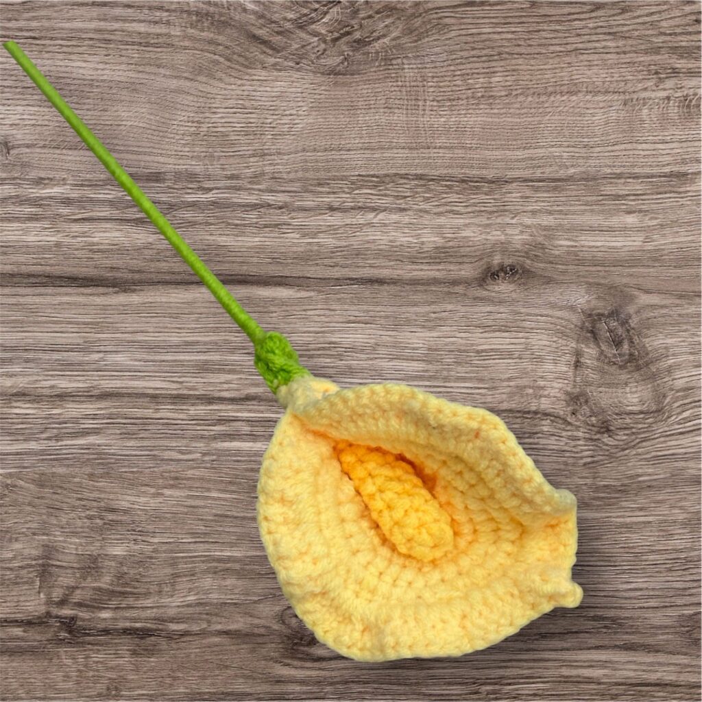 Yellow Flower