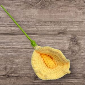 Yellow Flower