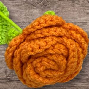 Orange Rose