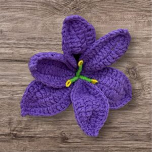 Dark Purple Lilly