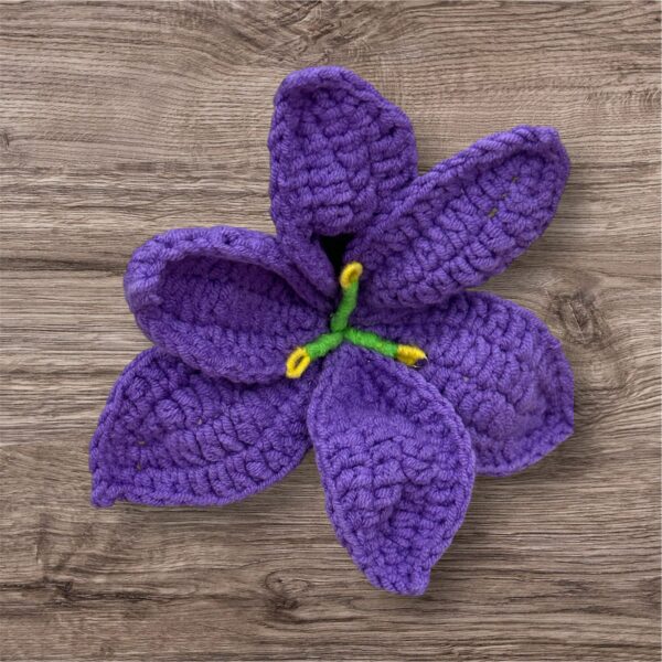 Dark Purple Lilly