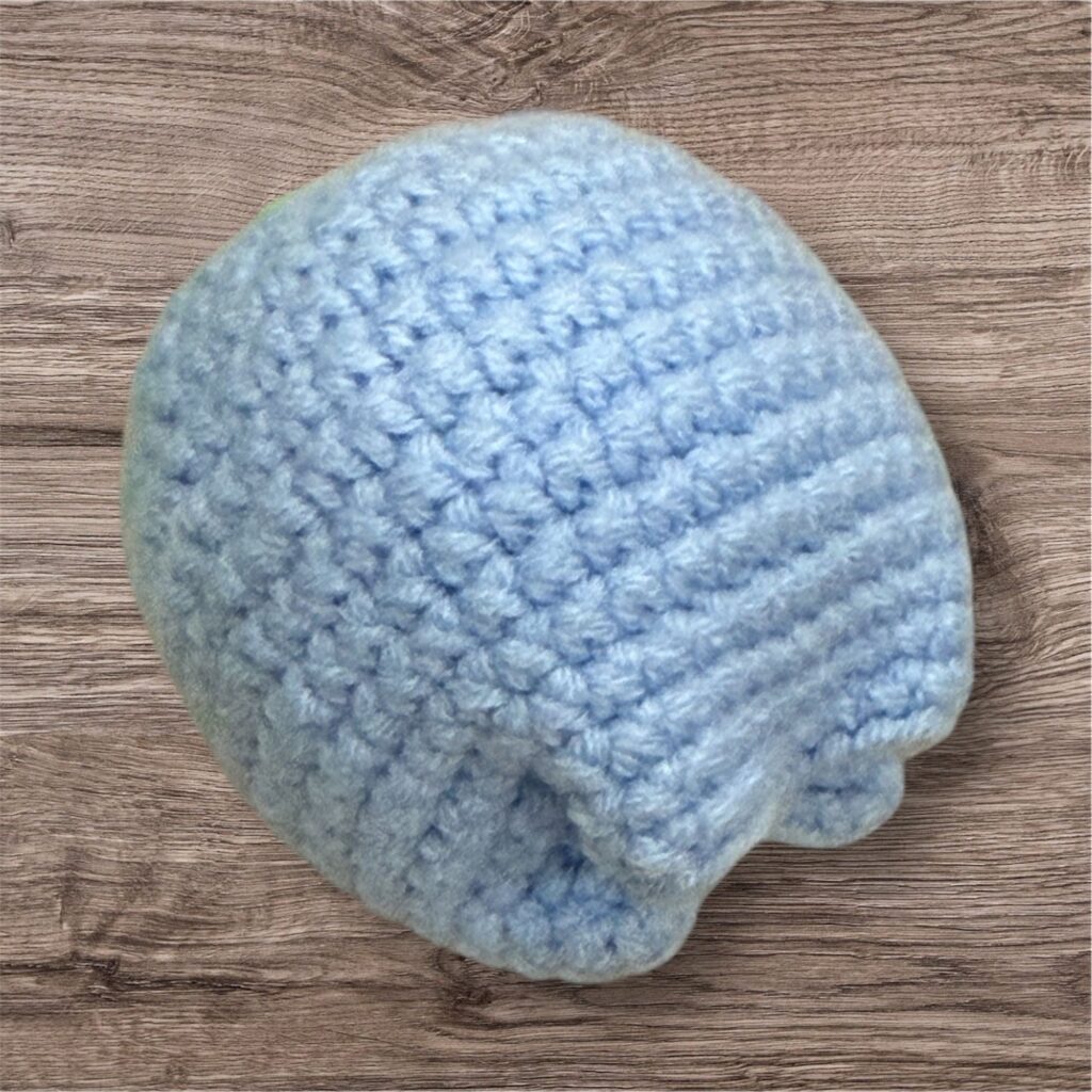 Blue Tulip
