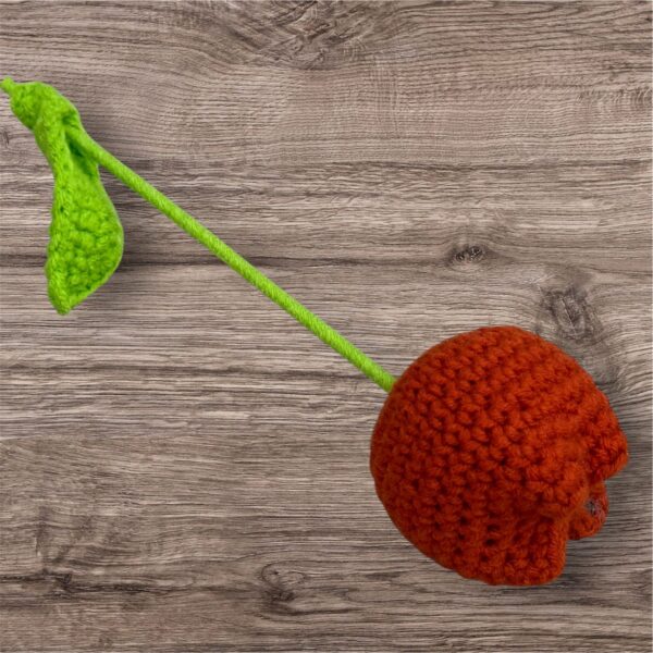 Orange Tulip - Image 2